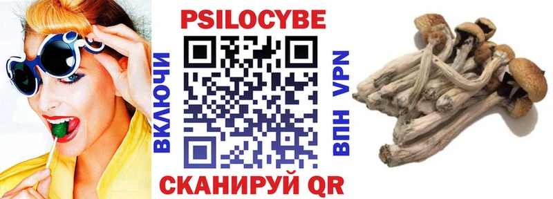 Псилоцибиновые грибы прущие грибы  Еманжелинск 